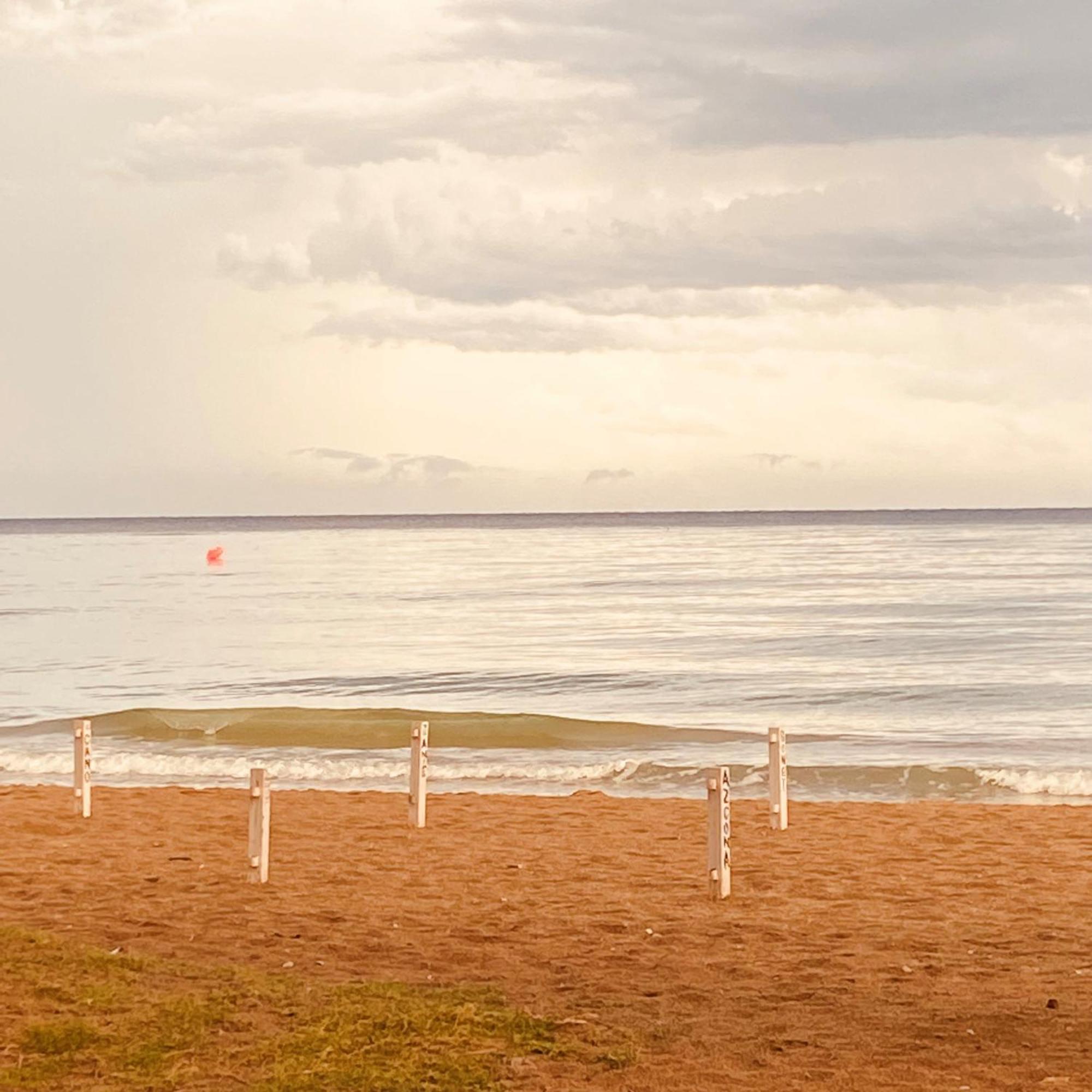 Acogedor Y Amplio Apartamento Familiar A Pie De Playa Калафелл Экстерьер фото